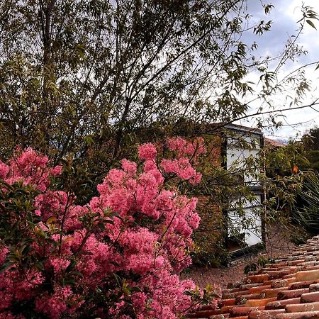 Casa Lloret Cuenca Bagian luar foto