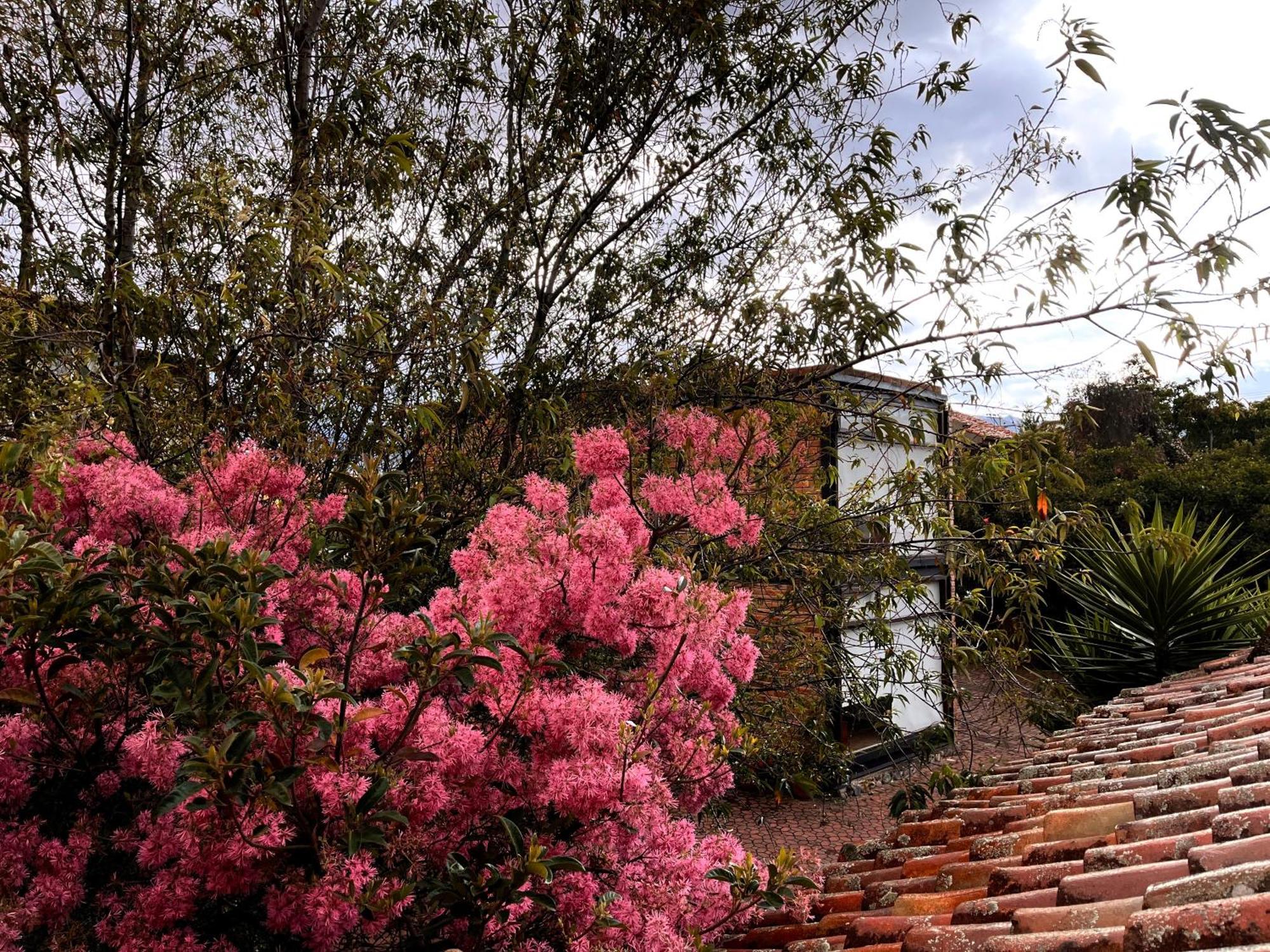 Casa Lloret Cuenca Bagian luar foto