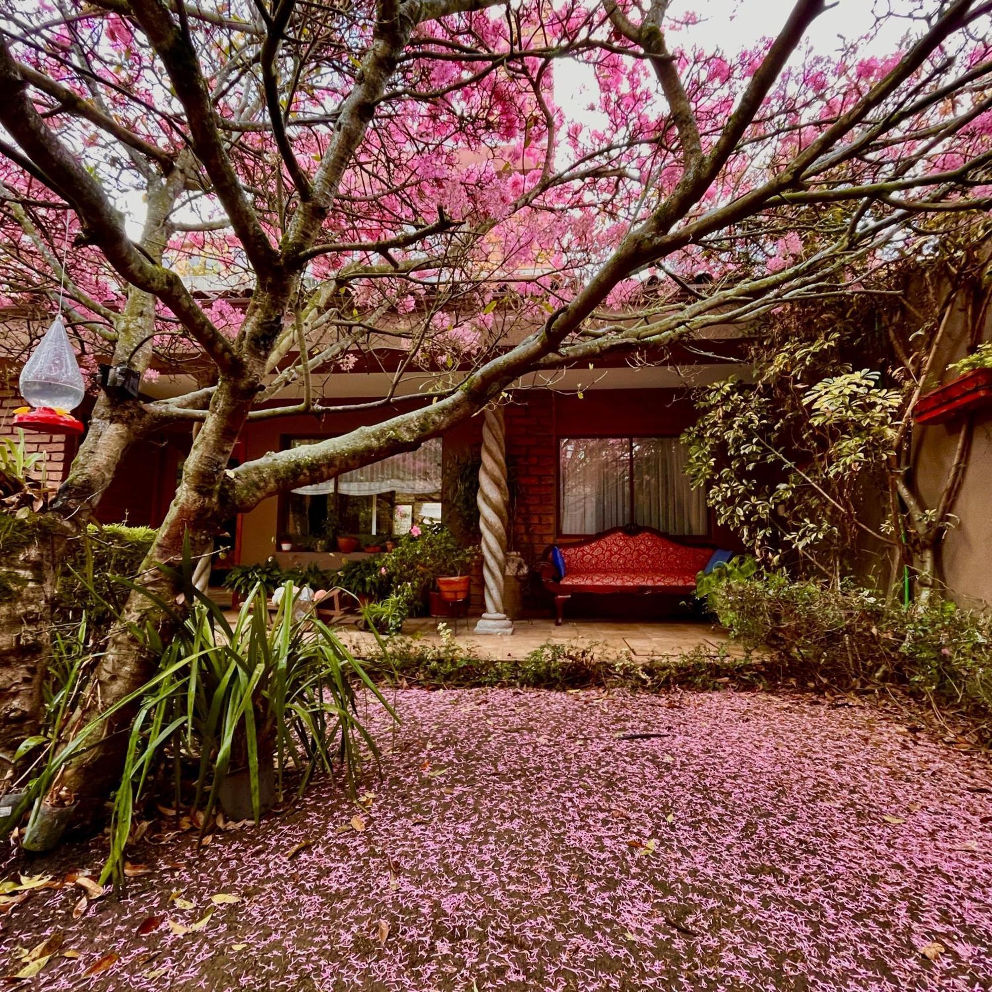 Casa Lloret Cuenca Bagian luar foto