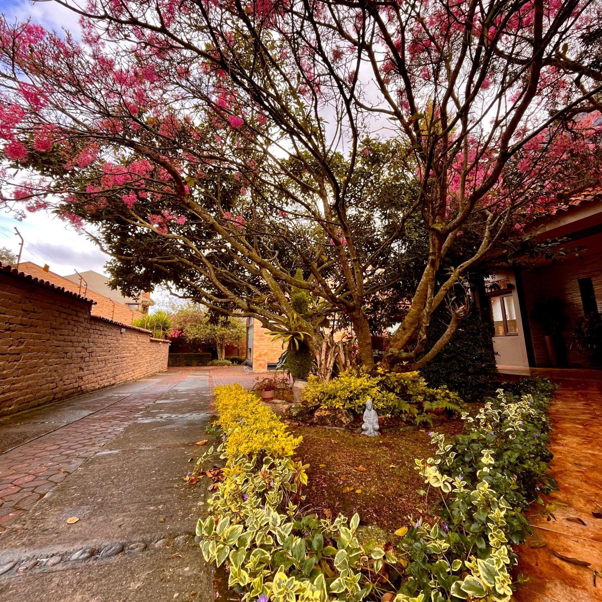 Casa Lloret Cuenca Bagian luar foto